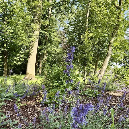 Gulfhof Butendiek - Groot Stuuv Διαμέρισμα *